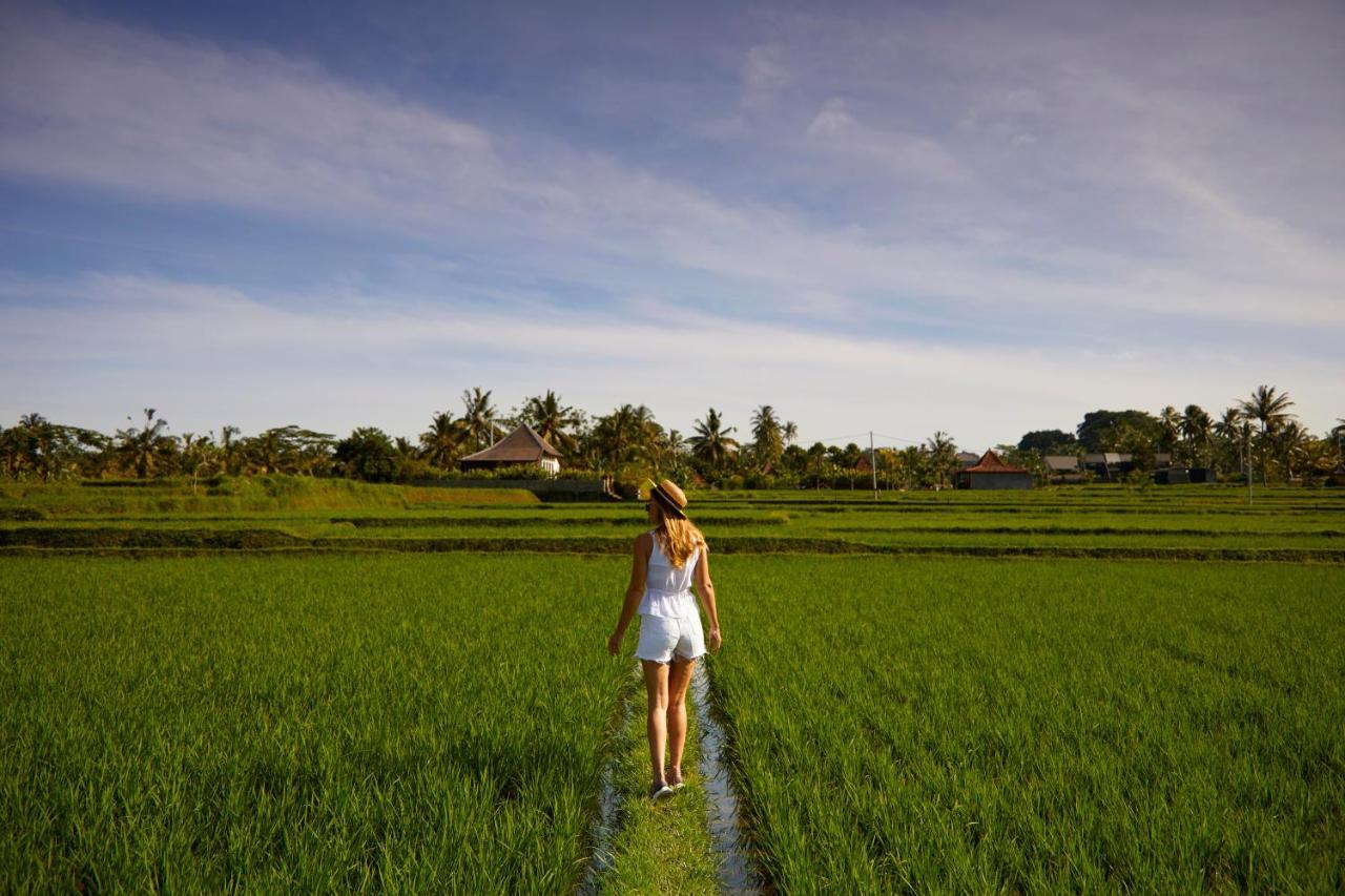 Element Bali Ubud Ngoại thất bức ảnh
