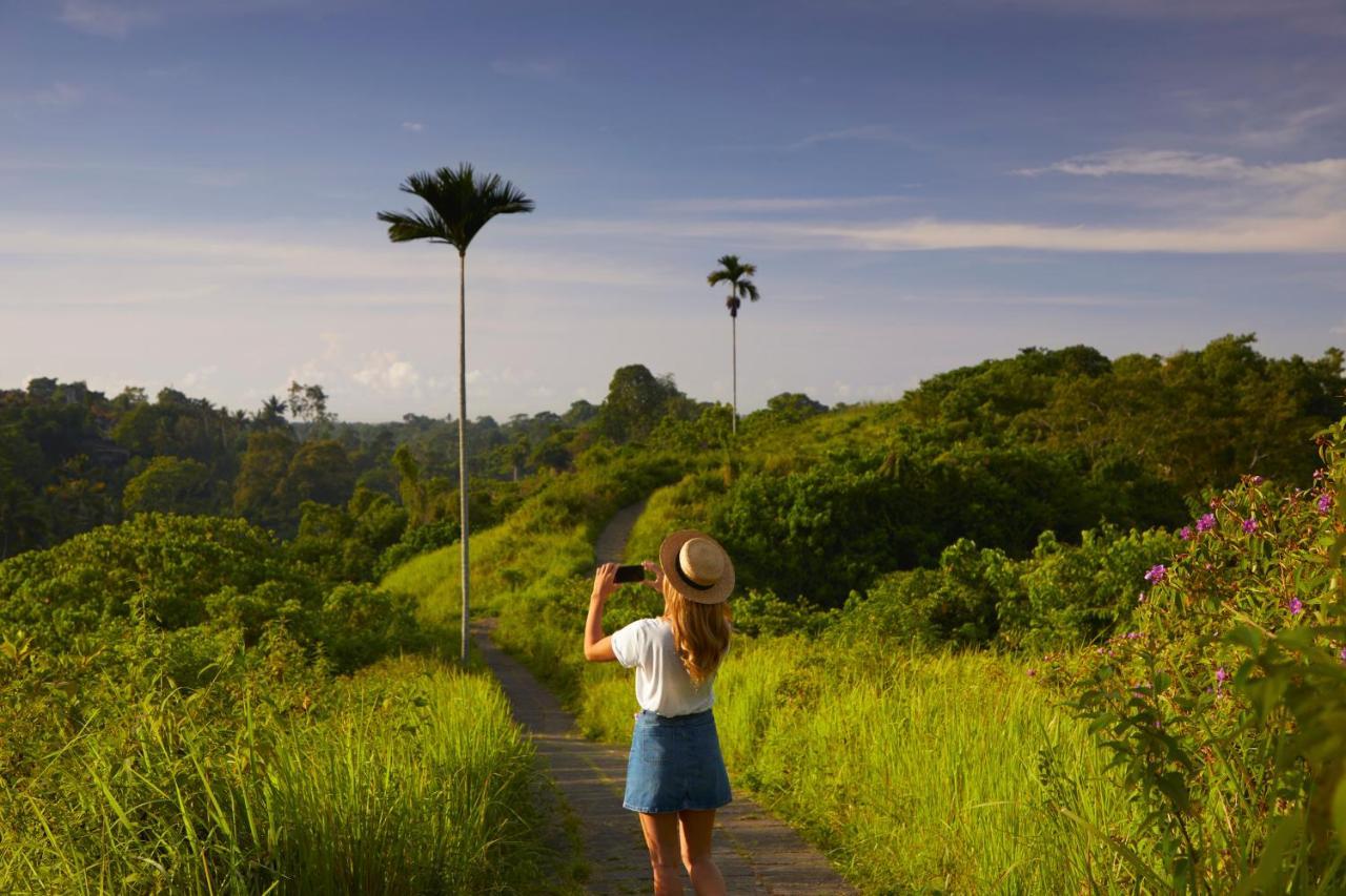 Element Bali Ubud Ngoại thất bức ảnh